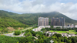 宁夏汽车网