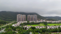山东汽车网