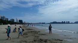 武汉都市网科技