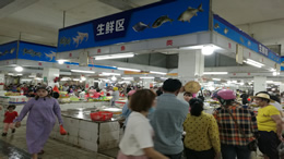 汽车视窗