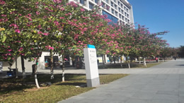 东方汽车网