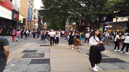 汽车视窗
